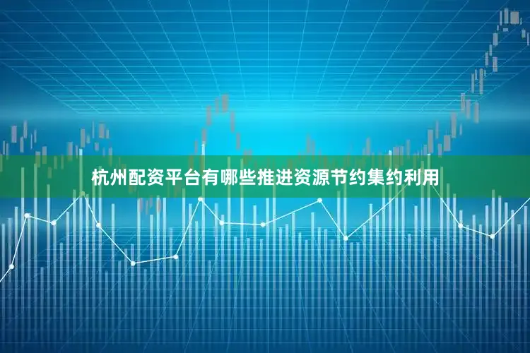 杭州配资平台有哪些推进资源节约集约利用